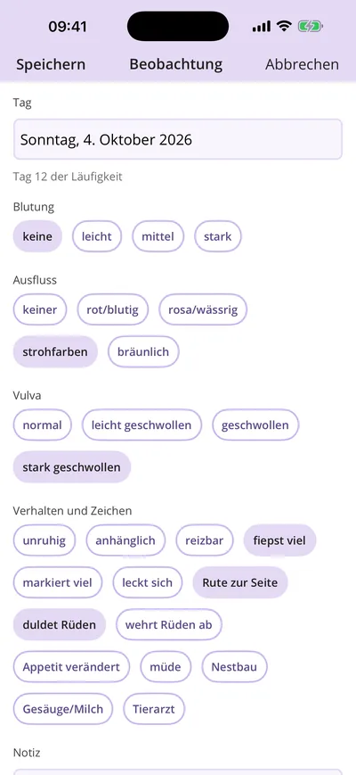 Tagesbeobachtung