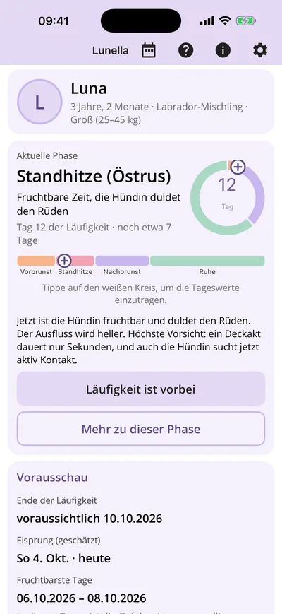 Startseite mit Phase und Tag