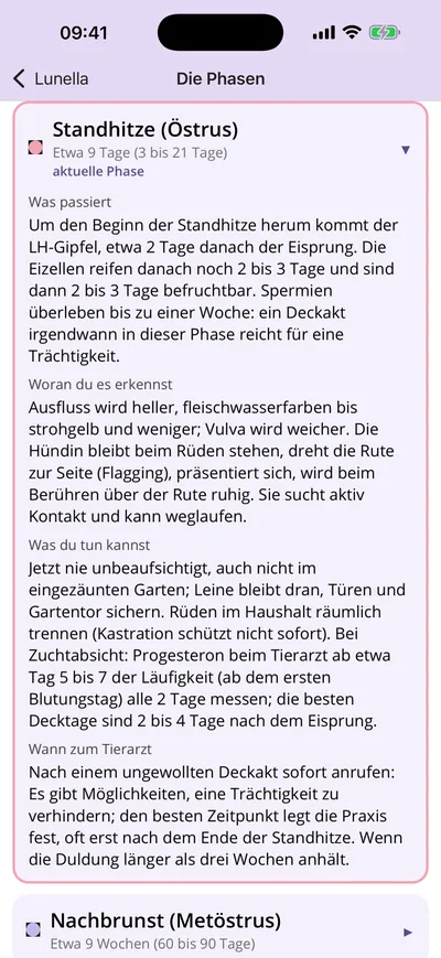 Die vier Phasen erklärt