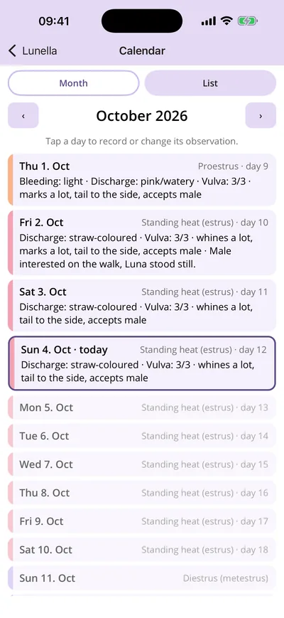 List view with observations