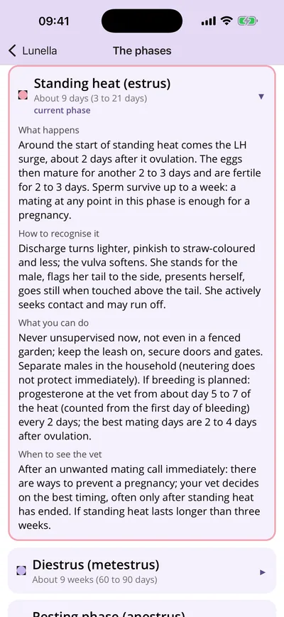 The four stages explained