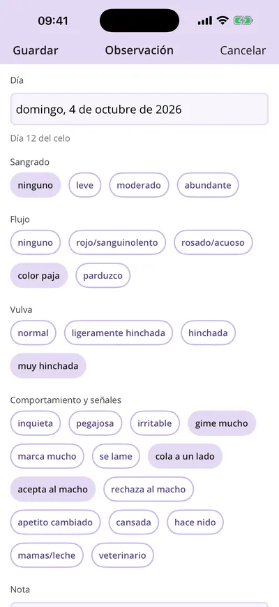 Observación del día