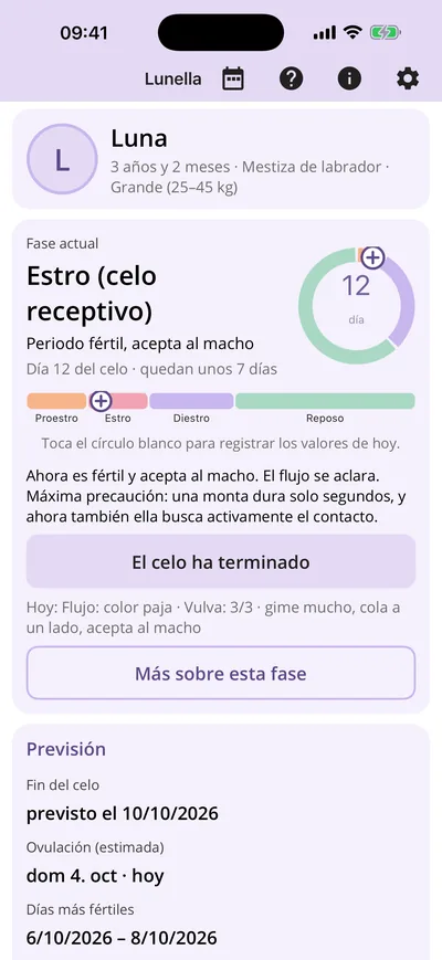 Inicio con fase y día