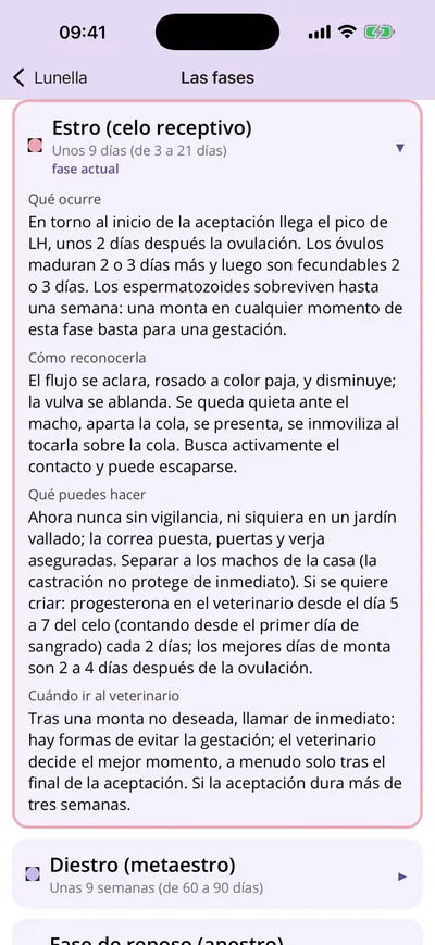Las cuatro fases explicadas