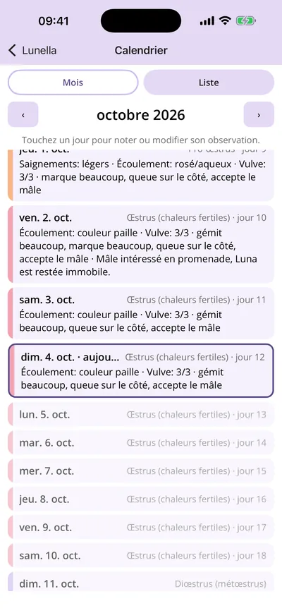 Vue en liste avec observations