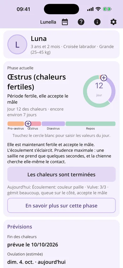 Accueil avec phase et jour