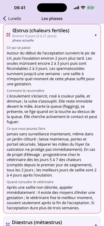 Les quatre phases expliquées